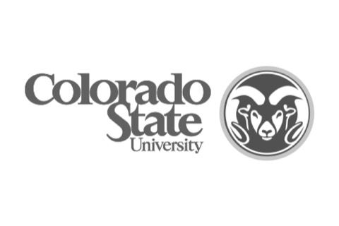 Colorado State University